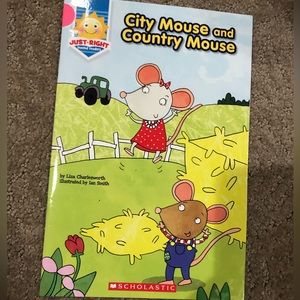 📚5 for $15 City Mouse and Country Mouse Book